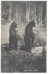 Yellowstone Postcard Checklist Collection