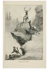 Reproducción/Reproduction 7176421863: Four-footed Americans and their kin /. New York :Macmillan,1898, t.p. 1901.