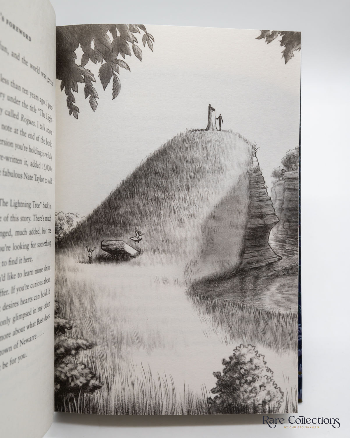 BIBLIO The Narrow Road between Desires a Kingkiller Chronicle Novella (Signed) by Patrick
