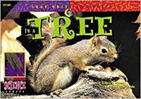 In a Tree (Paperback) by David M. Schwartz