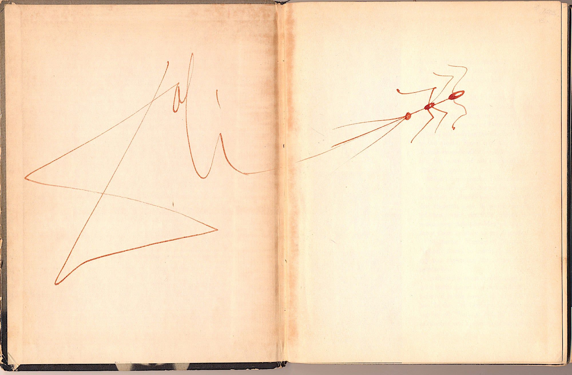 Dali's Mustache: A Photographic Interview by Salva