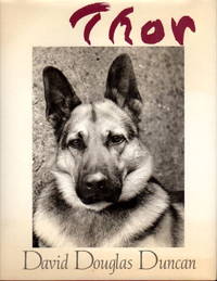 image of THOR.