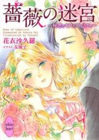 薔薇の迷宮 ~秘密のキスをアトリエで~ (講談社X文庫)