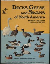image of Ducks, Geese and Swans of North America