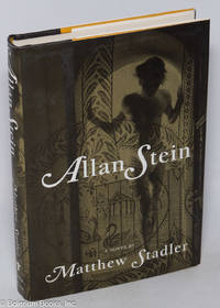 Allan Stein; a novel