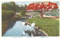 Japan β Korakuen Okayama unused Postcard