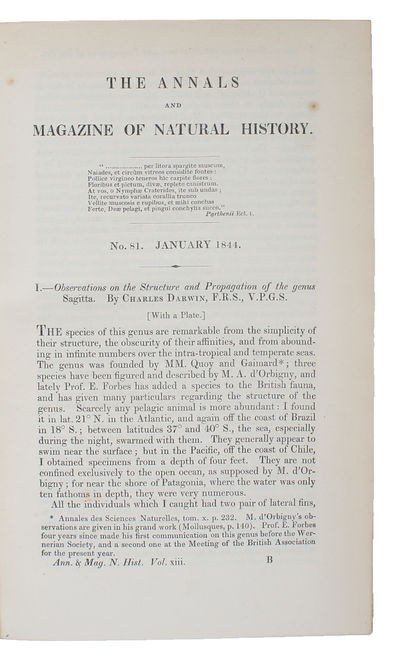 Observations on the Structure and Propagation of the genus Sagitta. - ["ONE OF THE MOST ANOMALOUS ANIMALS IN THE WORLD"] (photo 2)
