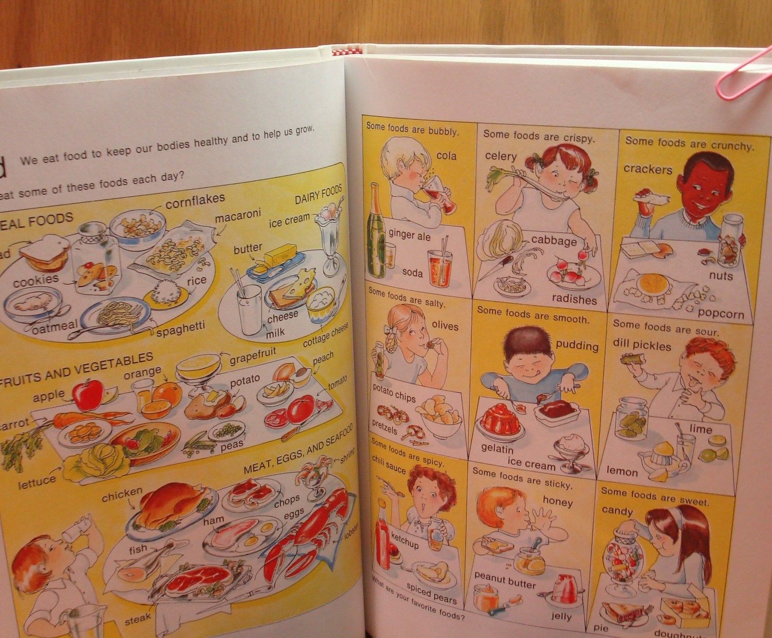The golden picture dictionary 洋書 The golden picture dictionary 洋書 本