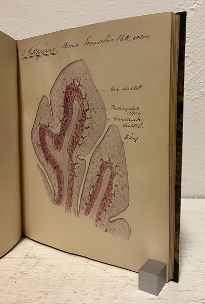 [Histologi] ”Histologiska preparat. Tecknade under histologikursen v. t. 1918. Gustav Sköld”. (photo 2)