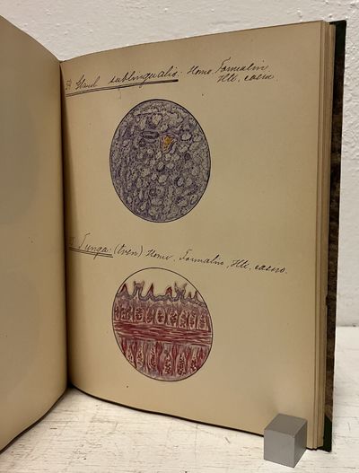 [Histologi] ”Histologiska preparat. Tecknade under histologikursen v. t. 1918. Gustav Sköld”. (photo 3)
