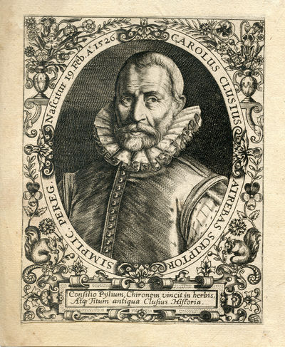 Engraved Portrait