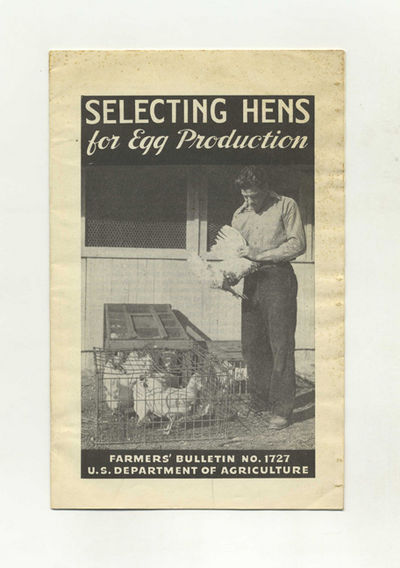 Selecting Hens For Egg Production