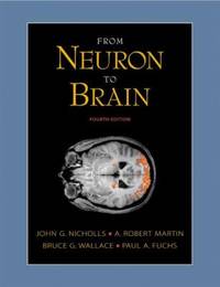 From Neuron to Brain : A Cellular and Molecular Approach to the Function of the Nervous System