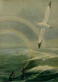 cover of Reproducción/Reproduction 6288902745: Oceanic birds of South America. v.1. New York :Macmillan Co. :c1936