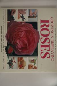 Creative Step by Step Guide to Growing Display Roses
