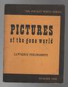 PICTURES OF THE GONE WORLD