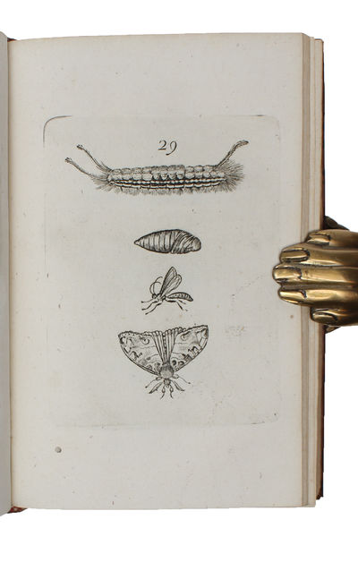 Metamorphoses naturelles ou Histoire des insectes observée très-exactement suivant leur nature & leurs proprietez. 3 vols.  - ["THE FIRST BASIC WORK ON ENTOMOLOGY"] (photo 7)