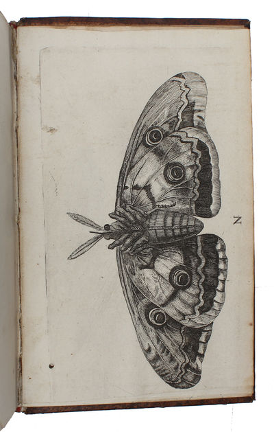 Metamorphoses naturelles ou Histoire des insectes observée très-exactement suivant leur nature & leurs proprietez. 3 vols.  - ["THE FIRST BASIC WORK ON ENTOMOLOGY"] (photo 9)