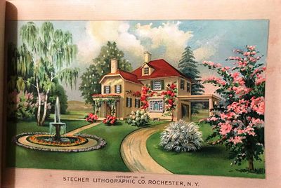 [NURSERY SPECIMEN BOOK FOR NORTH JERSEY NURSERIES. Millburn, NJ]