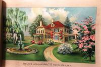 [NURSERY SPECIMEN BOOK FOR NORTH JERSEY NURSERIES. Millburn, NJ]