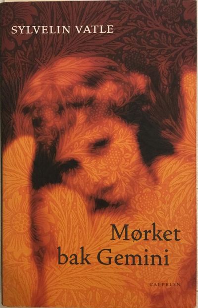 Mørket bak Gemini. Roman