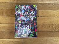 Boy Swallows Universe