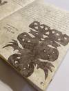 [MANUSCRIPT OF TRADITIONAL MEXICAN...; (photo 19)