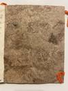 [MANUSCRIPT OF TRADITIONAL MEXICAN...; (photo 21)