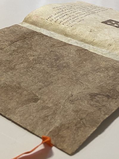 [MANUSCRIPT OF TRADITIONAL MEXICAN...; (photo 8)