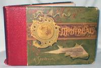 image of Illustrated Montreal, 1892-3; The Metropolis of Canada