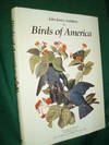The Birds Of America
