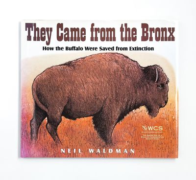 THEY CAME FROM THE BRONX