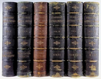The Standard Natural History