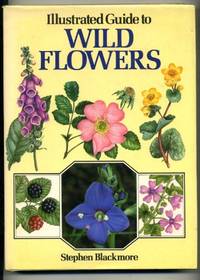 ILLUSTRATED GUIDE TO WILD FLOWERS.