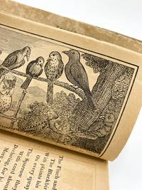 THE TRAGI-COMIC HISTORY OF THE BURIAL OF COCK ROBIN