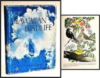Hawaiian Birdlife