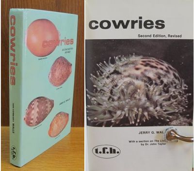 Cowries.