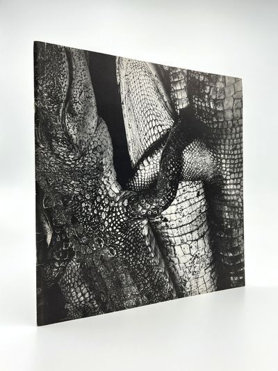 Debbie Fleming Caffery