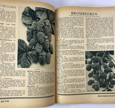 Späth-Buch 1720-1930. (photo 3)