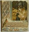 IN AND OUT & ROUND ABOUT. A BOOK OF TRANSFORMATION PICTURES