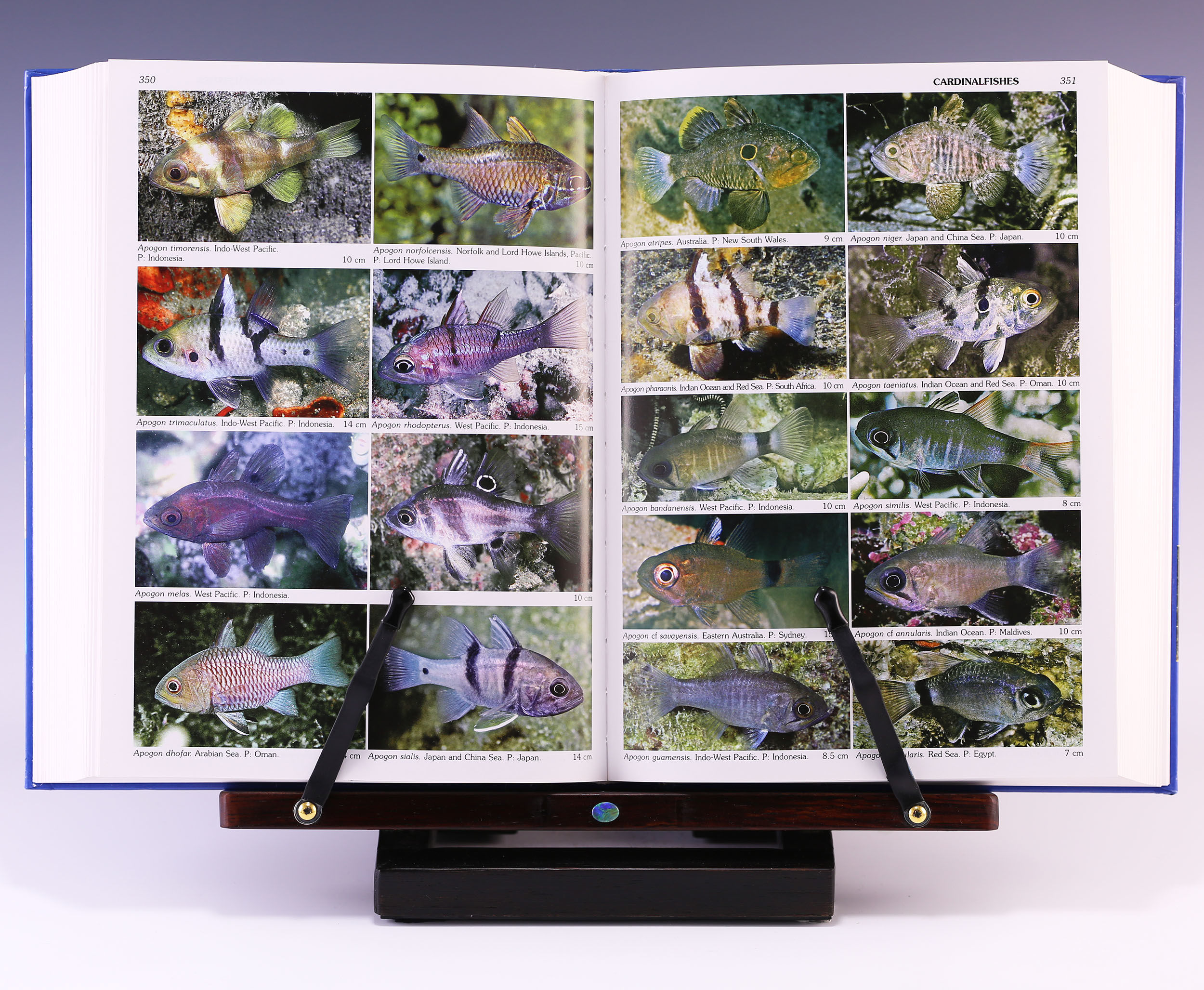 World Atlas of Marine Fishes by Rudie H. Kuiter | Hardcover