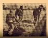 View Image 3 of 3 for The Song of the Cotton Picker Inventory #008565
