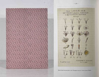 Georg Dionysius Ehret and his plate of the sexual…