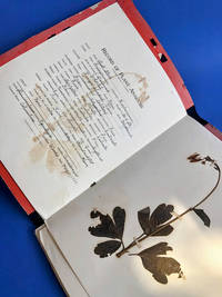 Pauline Eyler's Herbarium with 24 Specimens