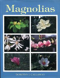 Magnolias