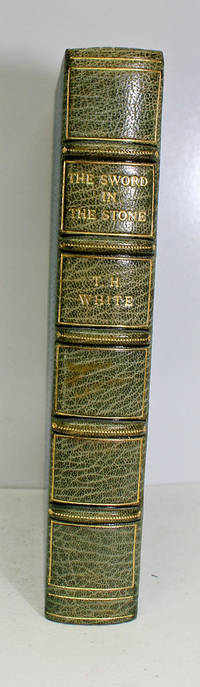 image of The Sword in the Stone