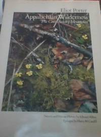 image of Appalachian Wilderness