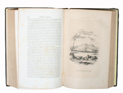 Aventures les plus curieuses des Voyageurs Coup D'oeil autour du Monde d'apres les Relations anciennes et modernes et de Documents recueillis sur les lieux. Ouvrage imité des Aventures des Voyageurs par P. Blanchard. 2 vols. (photo 4)