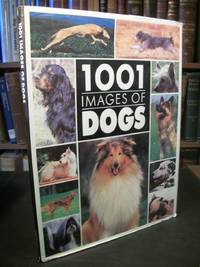 1001 Images Of Dogs - 