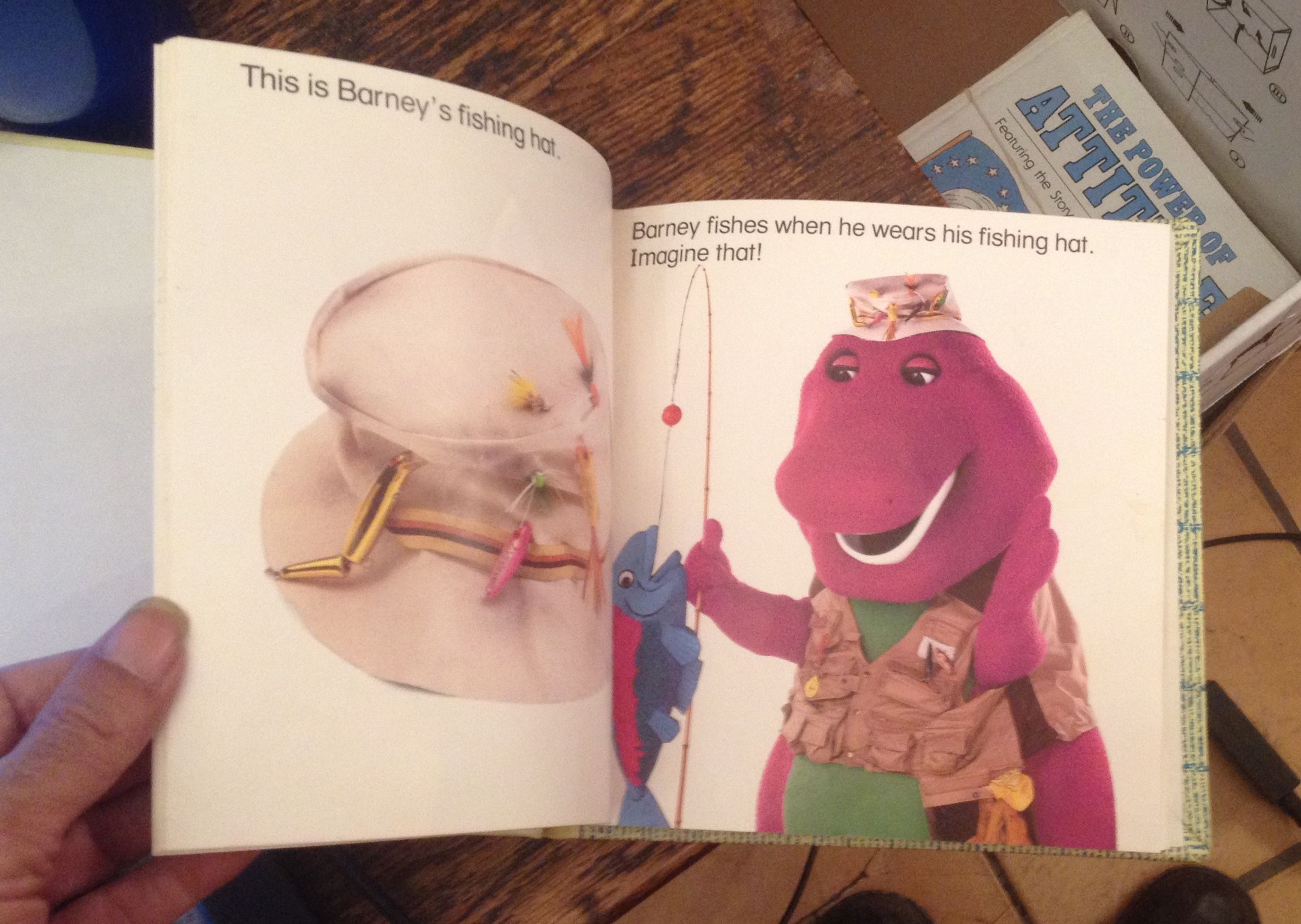 Barney display picture 1